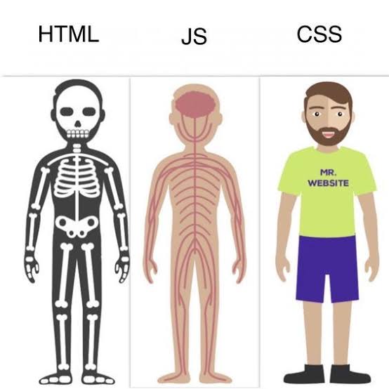 Desenvolvimento web em imagem